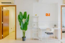 Alexis (D3), Apartment #490059271